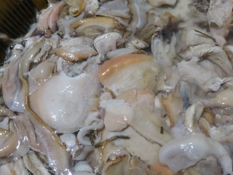 精品生鲜河蚌肉活体洗干净精肉都有，可供商超市场，欢迎合作