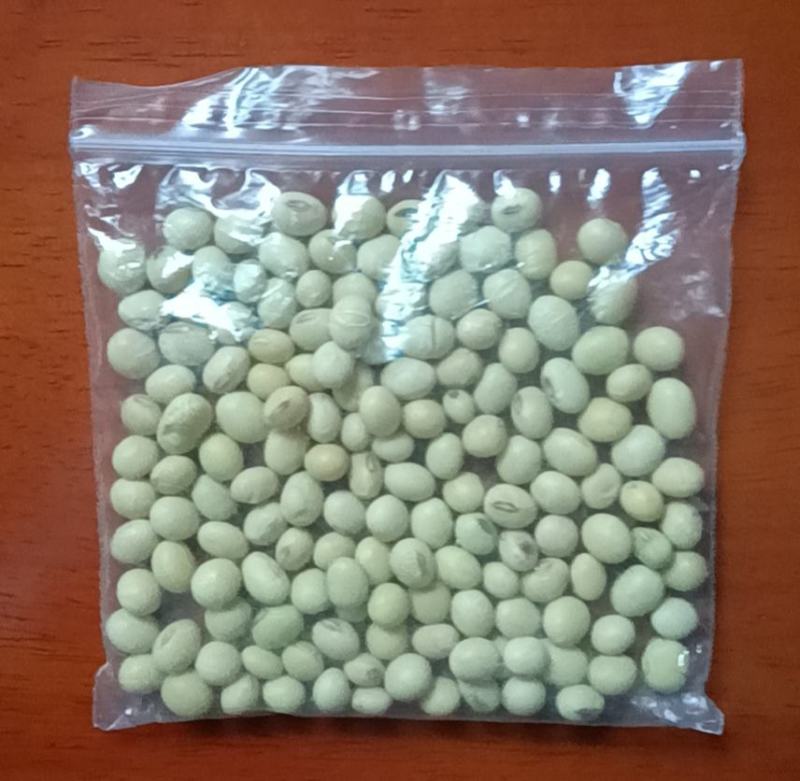 大量提供进口非转基因大豆品质优良可长期供货1000吨起