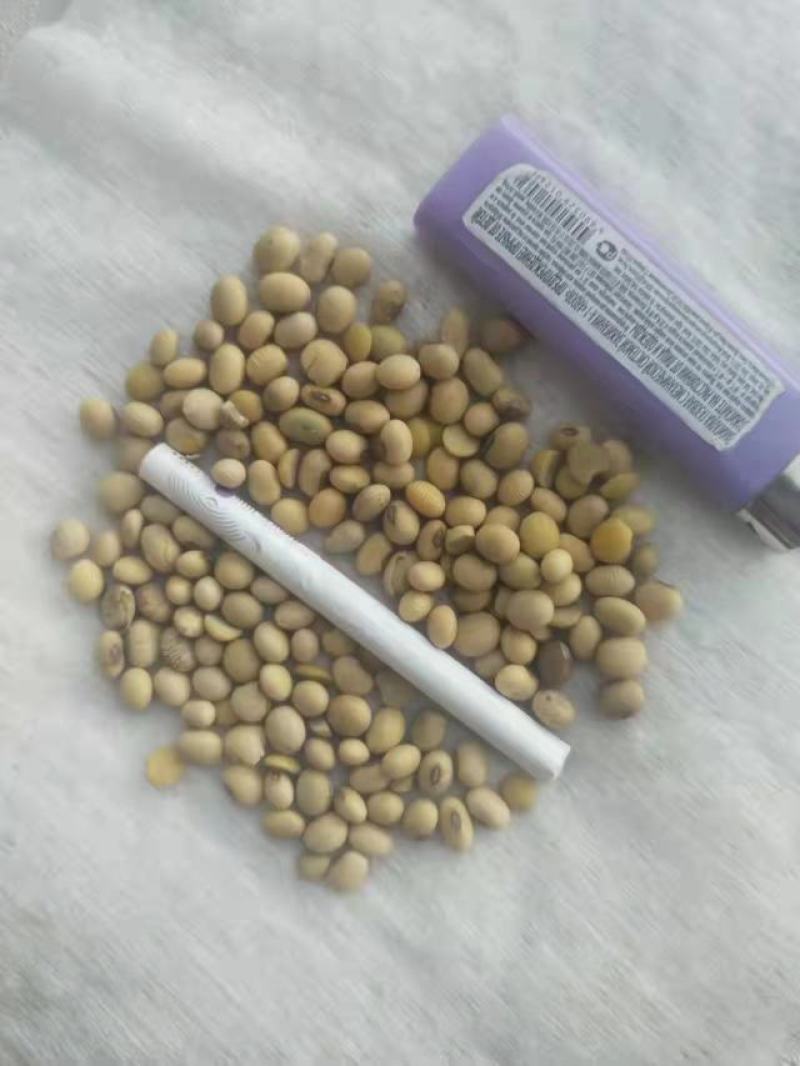 大量提供进口非转基因大豆品质优良可长期供货1000吨起