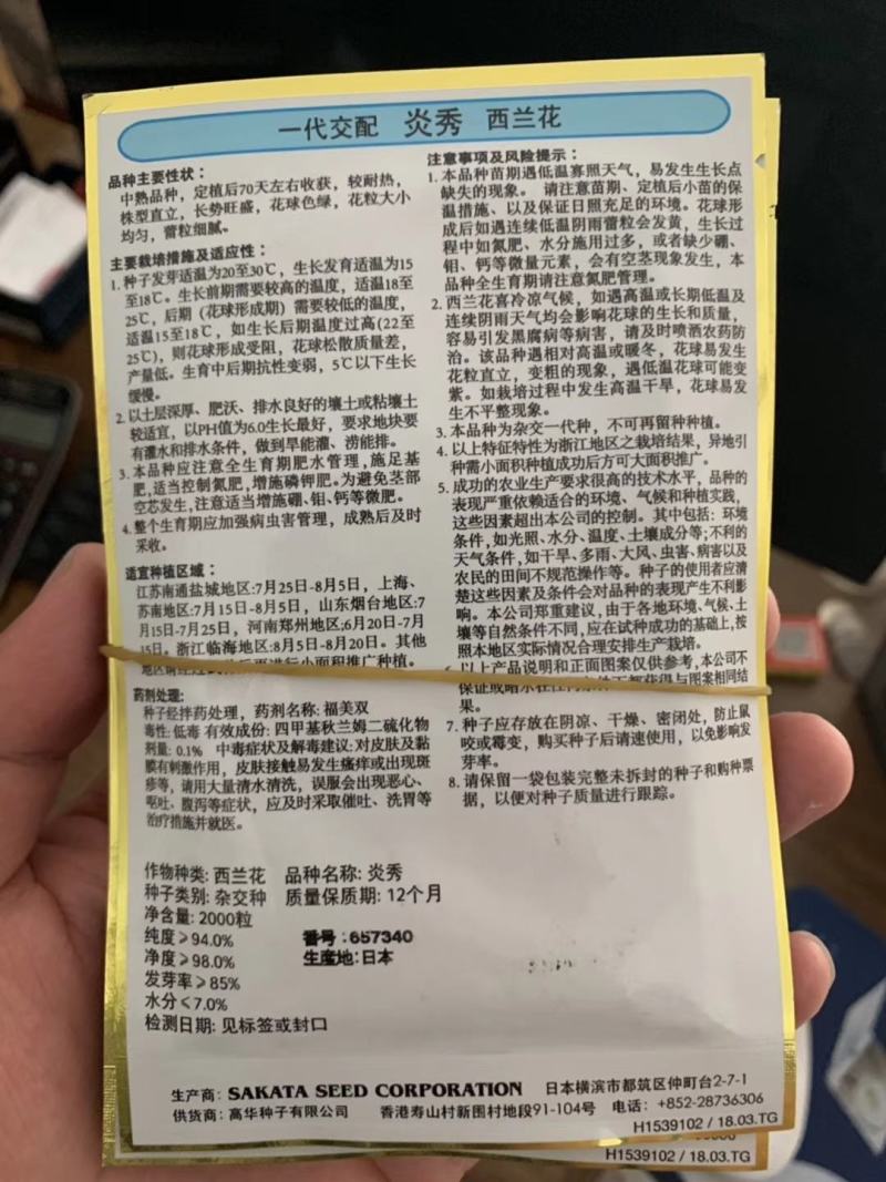 炎秀西兰花种子中熟花球深绿花粒大小均匀细腻商品性强