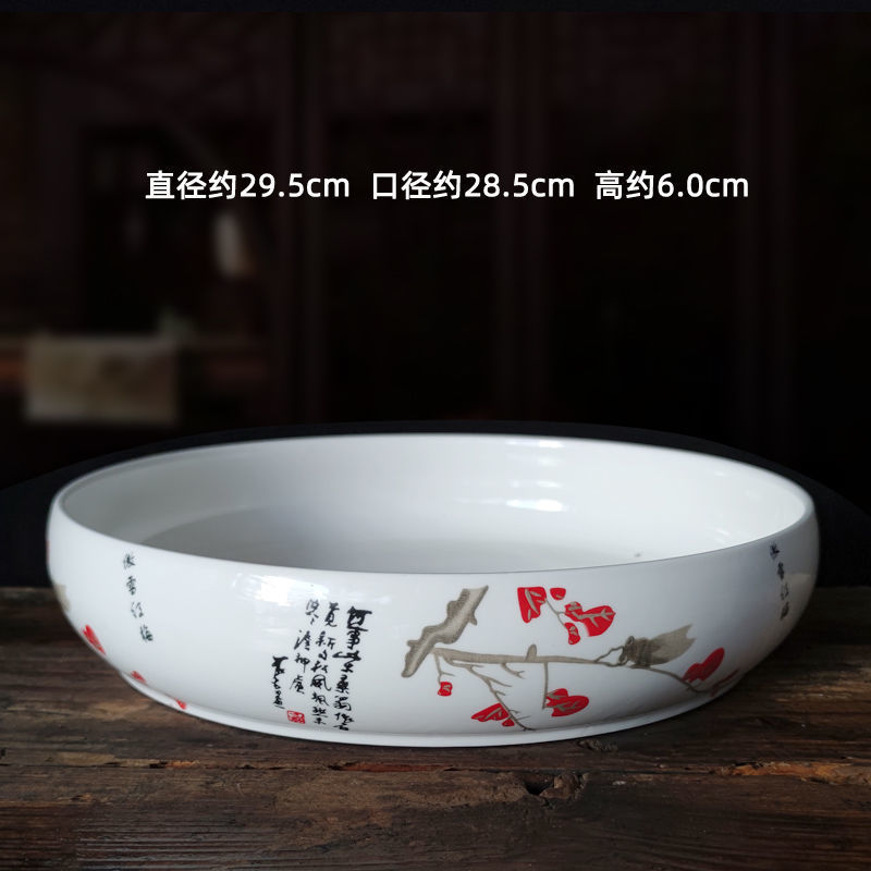 特大号水仙花盆陶瓷无孔水培碗莲一叶莲铜钱草专用盆多肉植物