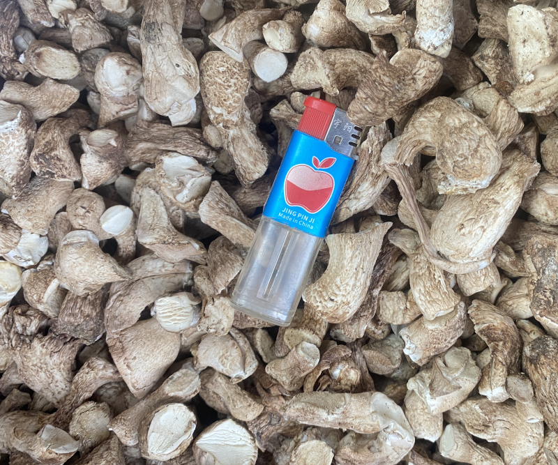 双剪香菇脚干净整齐纯双剪食品厂专用