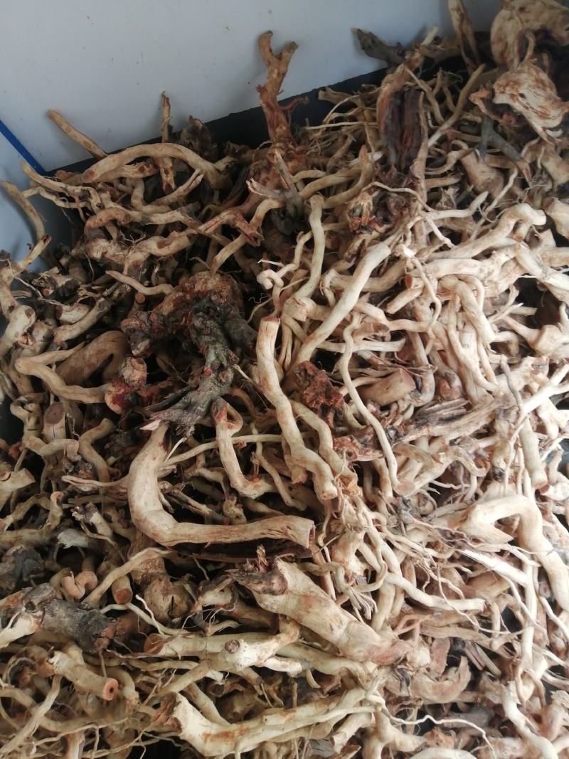 雷公藤雷公藤干货雷公藤根皮一手货源产地直销量大