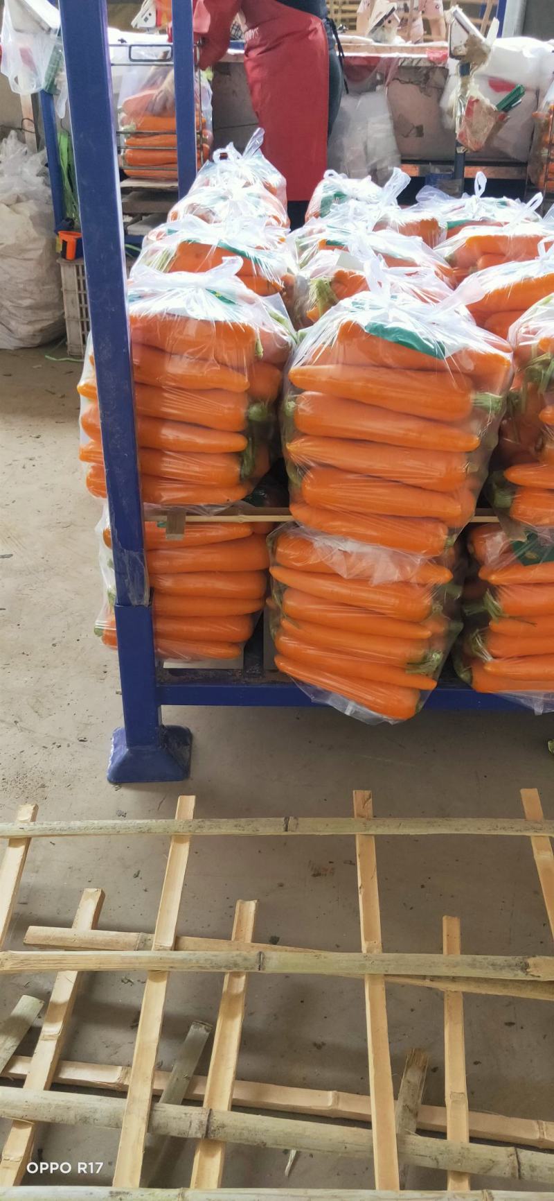 胡萝卜精品水洗胡萝卜土萝卜各种规格包装都支持加工厂养殖场