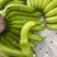 常年大量供应进口香蕉，菲律宾，越南，南美，等多个国家