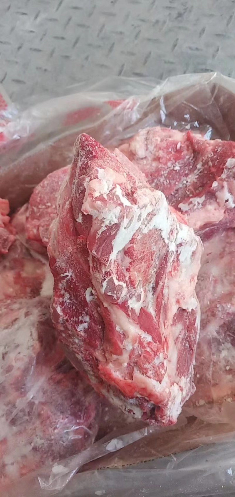 母猪胫骨，全国各地批发，保证质量《热销》