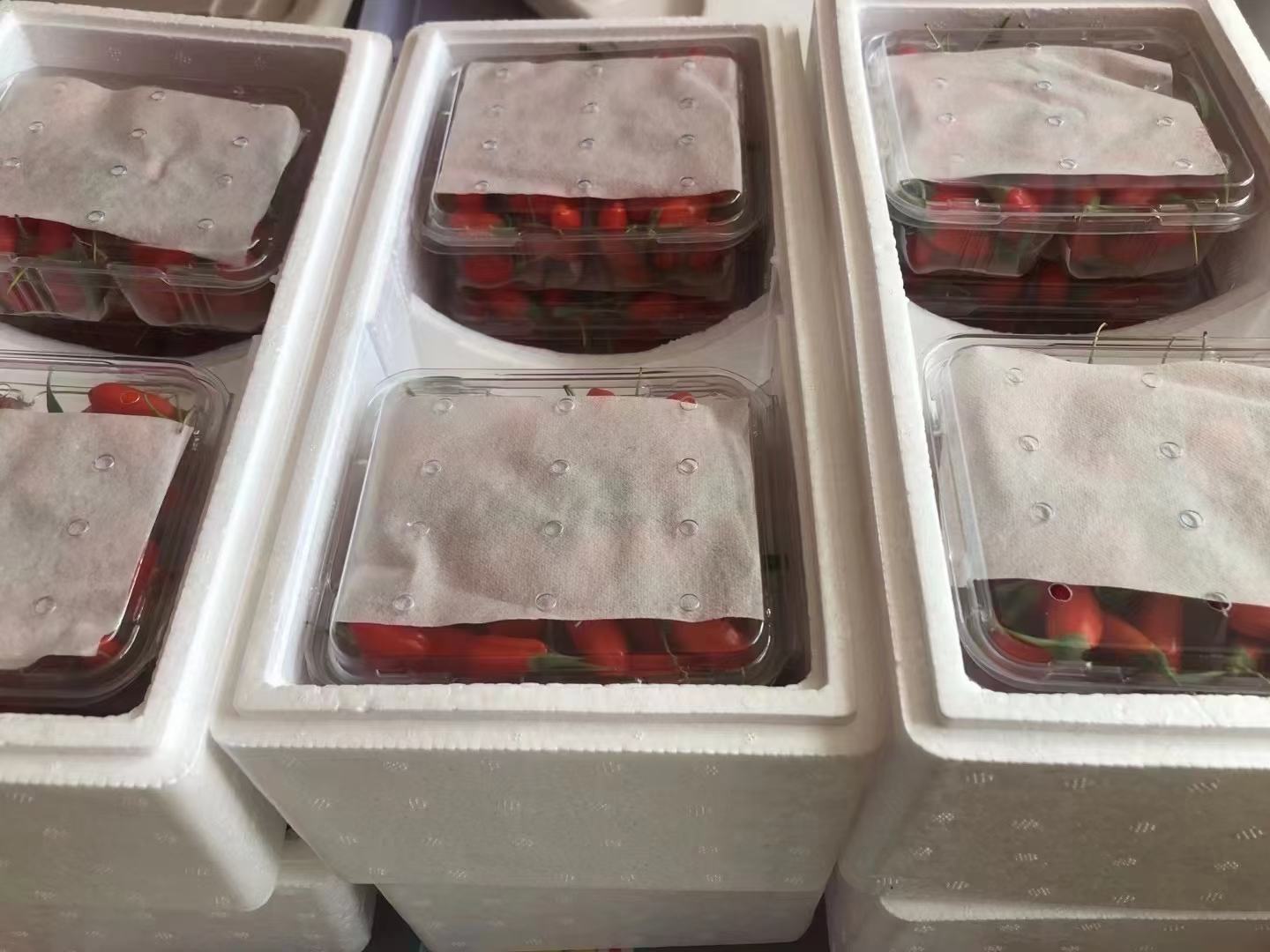 多种规格的瓜州红枸杞包装产品陈列在木质展台上,包括玻璃瓶装、铝箔袋装、礼盒装等,所有包装均印有“瓜州红枸杞”地理标志图案和SC食品生产许可证编号,背景为瓜州城市地标剪影,整体风格简洁高端 瓜州红枸杞成品包装展示图