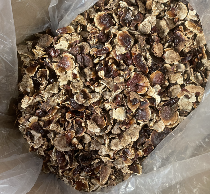 新货小金边灵芝，全国发货，量大价优，品质保证，欢迎来电