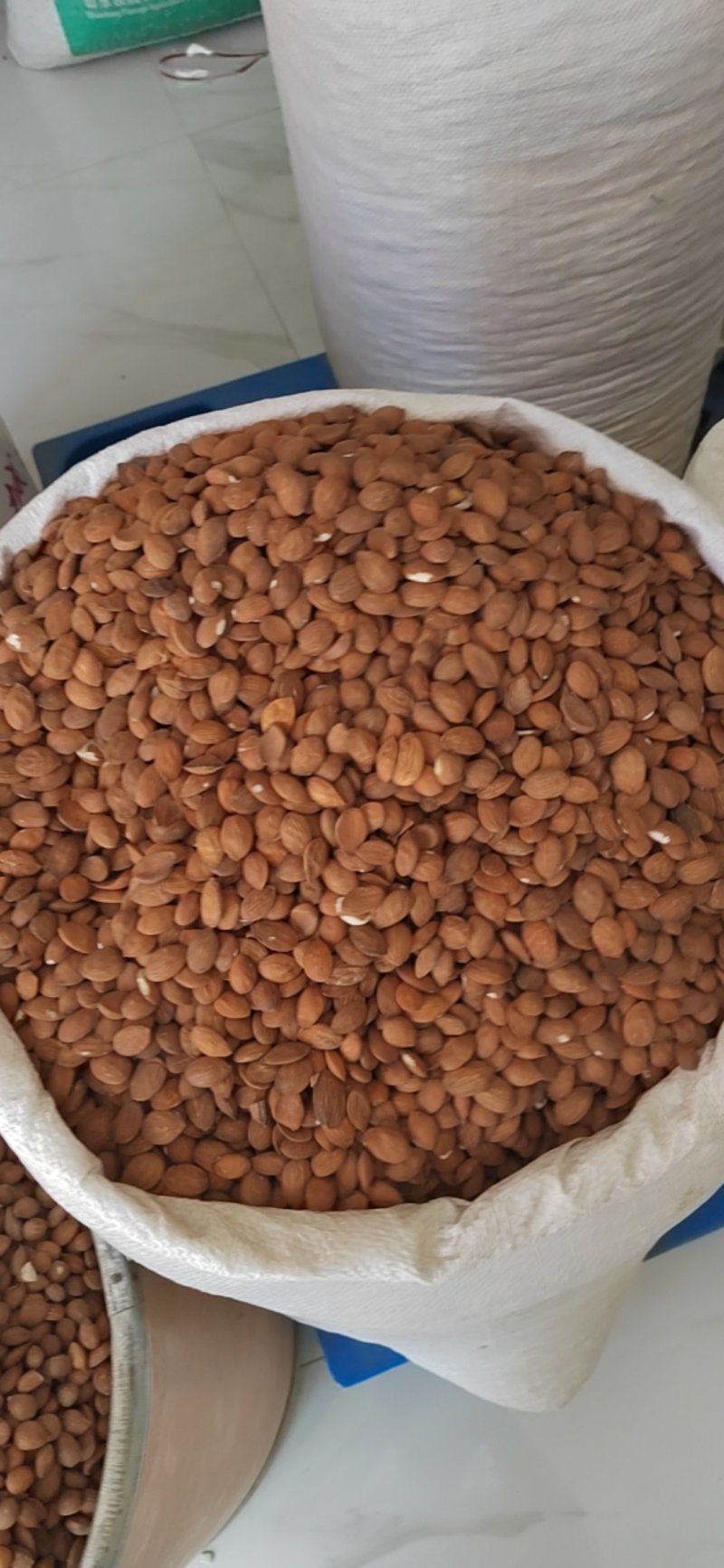 桃仁，家桃仁，带皮桃仁，去皮桃仁，中药材批发，