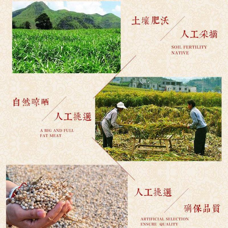 新米薏仁米贵州农家新薏仁苡仁大米薏米仁薏苡仁五谷杂粮