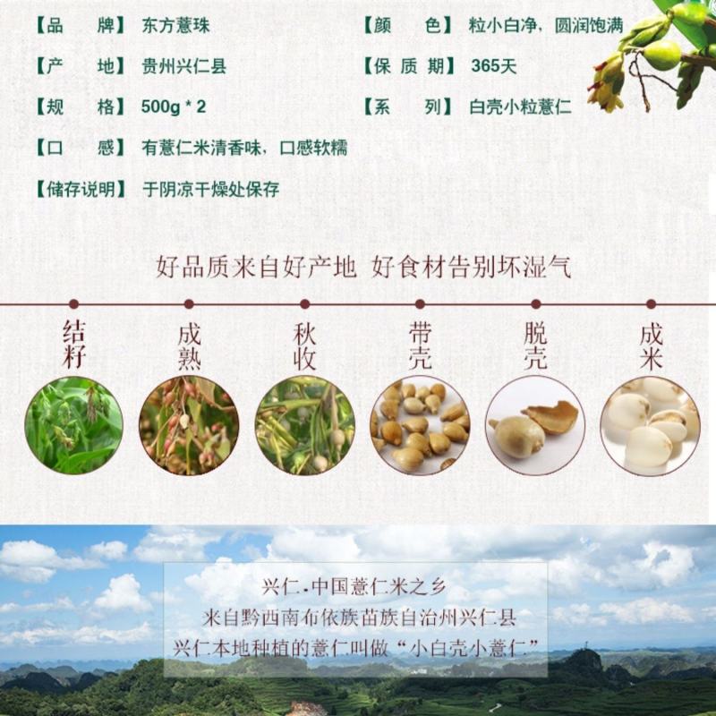 新米薏仁米贵州农家新薏仁苡仁大米薏米仁薏苡仁五谷杂粮