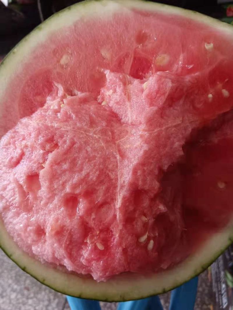 甜王西瓜量大甜度好老品牌值得信耐现在货还有一白多扽