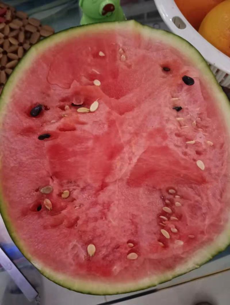 甜王西瓜量大甜度好老品牌值得信耐现在货还有一白多扽