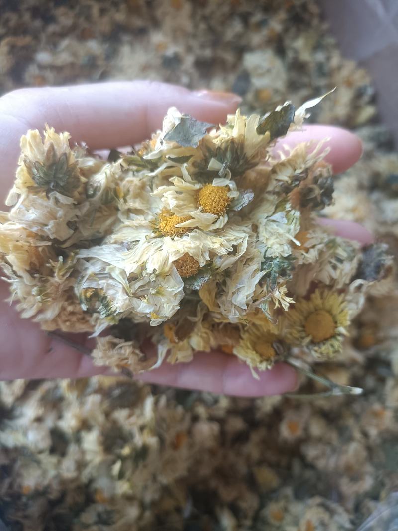 【傲宇药材】菊花七月菊一箱十公斤诚信药材