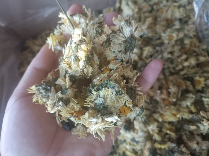 【傲宇药材】菊花七月菊一箱十公斤诚信药材