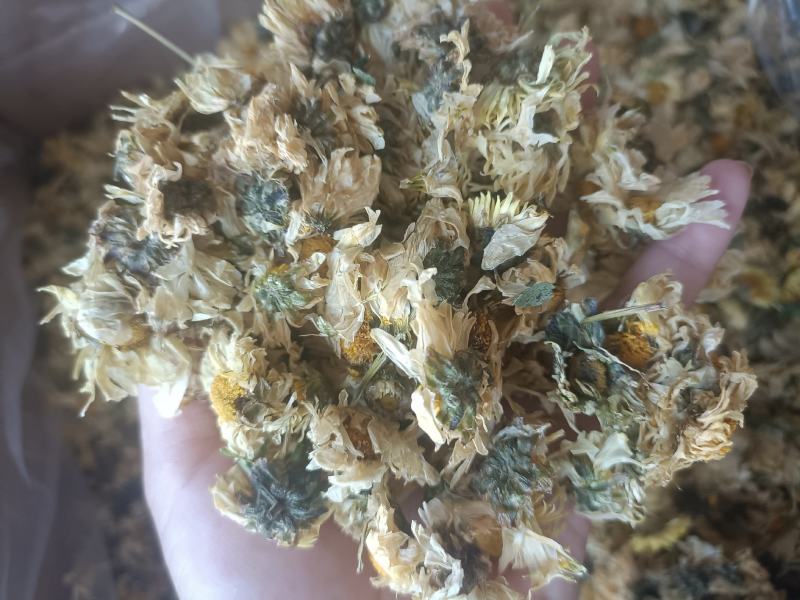 【傲宇药材】菊花七月菊一箱十公斤诚信药材