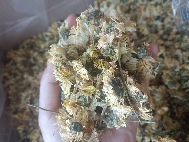 【傲宇药材】菊花七月菊一箱十公斤诚信药材