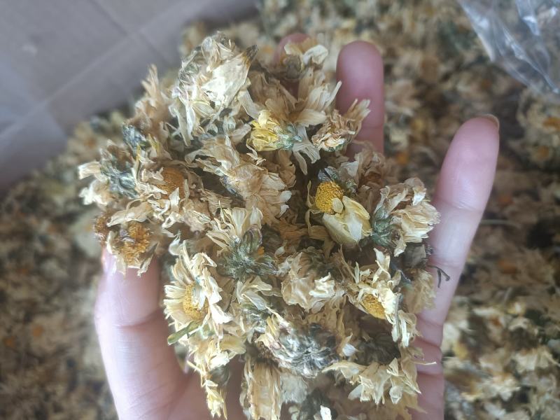 【傲宇药材】菊花七月菊一箱十公斤诚信药材