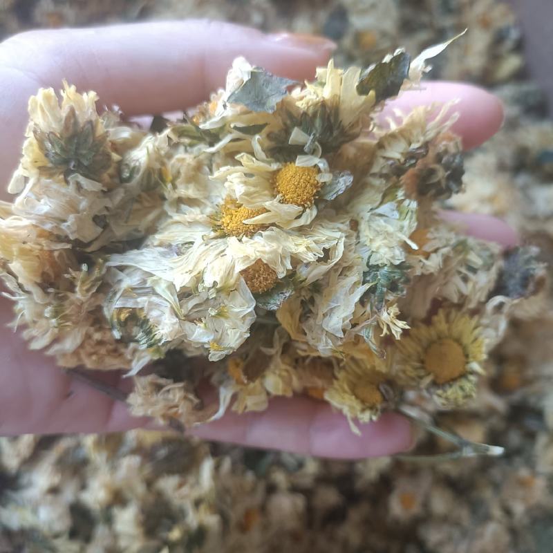 【傲宇药材】菊花七月菊一箱十公斤诚信药材