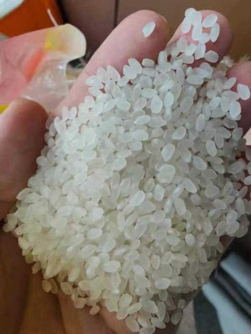 东北珍珠米