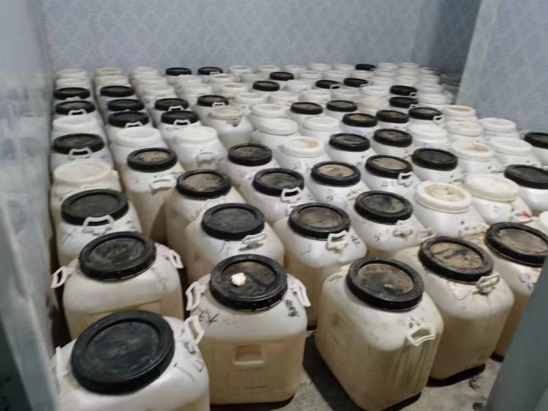 《2022年蜂蜜》洋槐荆条枣花百花蜜质量好天然成熟