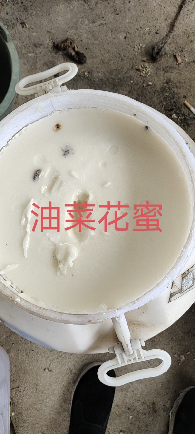 《2022年蜂蜜》洋槐荆条枣花百花蜜质量好天然成熟