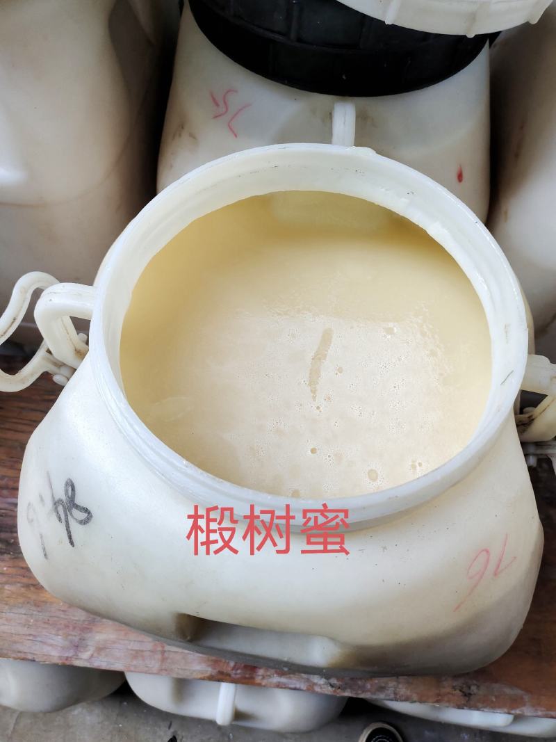 《2022年蜂蜜》洋槐荆条枣花百花蜜质量好天然成熟