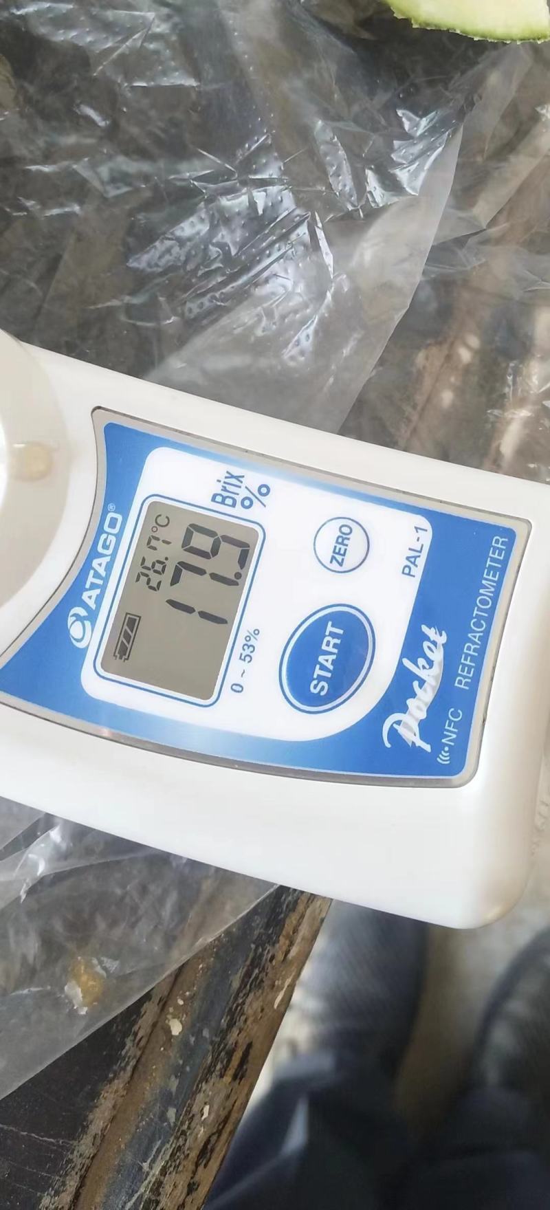 精品晓蜜25，大量有货，对接各大电商平台，供应市场档口