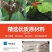 加厚吊秧夹，纯原料生产耐高温抗老化新型吊秧夹