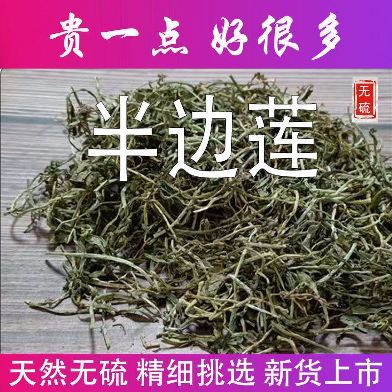 半边莲新货质量好保正品需要下单就可以了