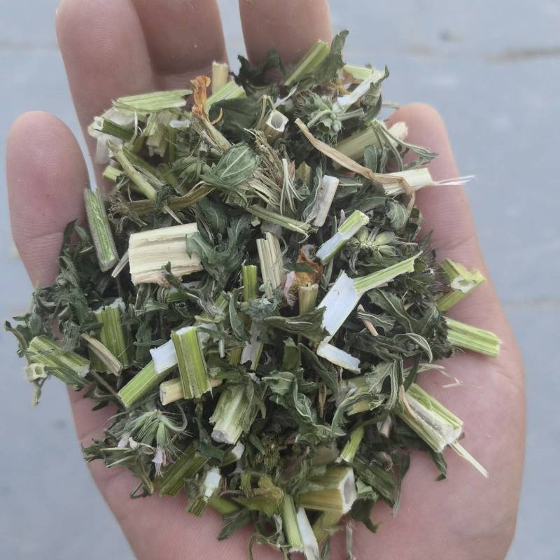 益母草大货
