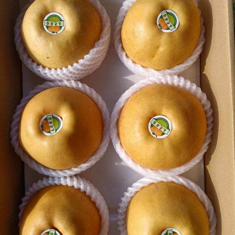 梨