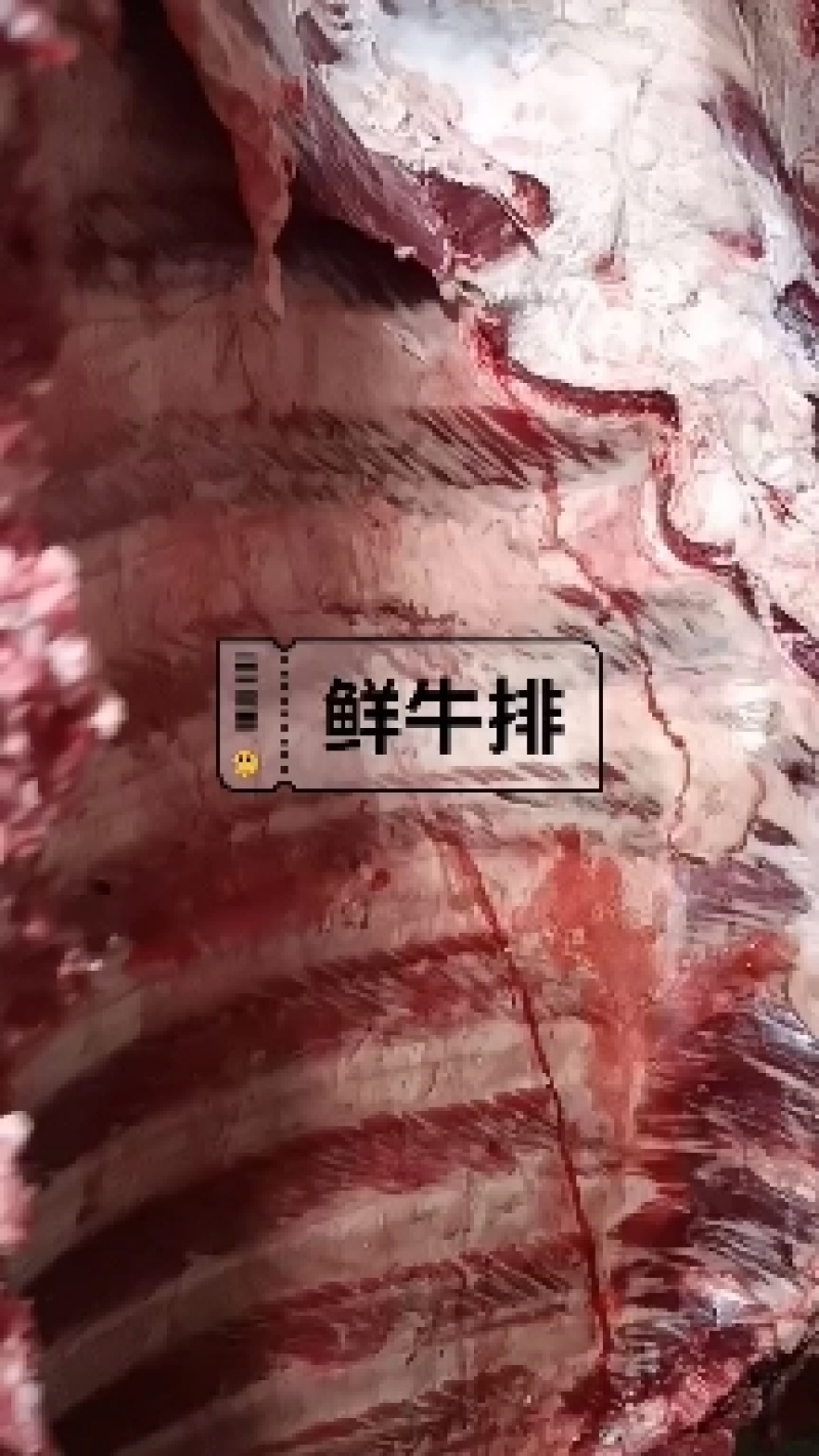 国产黄牛满肉牛排质量超级棒，炖锅热卖品！！！！！！！！！