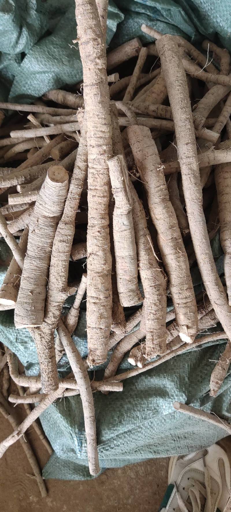 新鲜中叶牛大力，根，小次，大次，小小牛，煲汤泡酒口味甘甜
