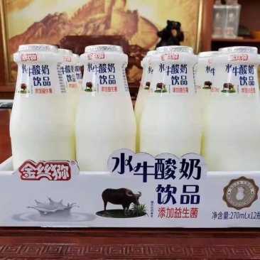 16.5东营厂家新货水牛酸奶