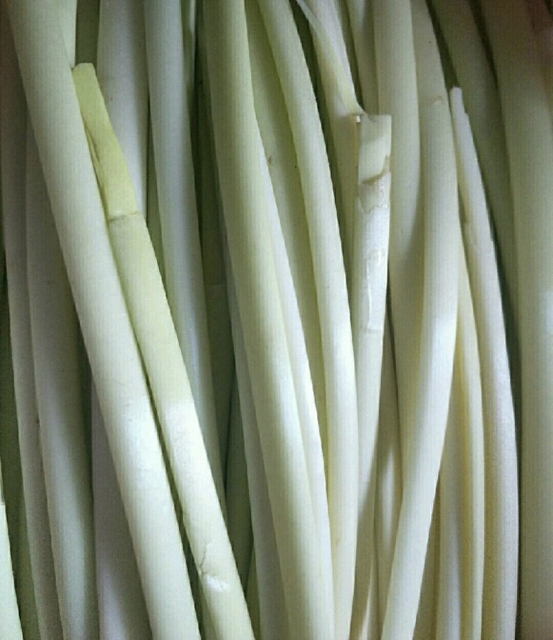 蒲菜