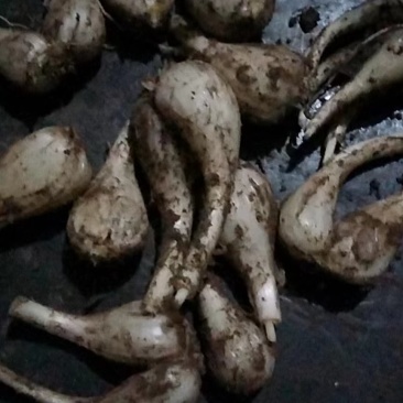 产地直发不包运费不包运费