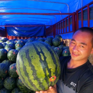 金城武大量有货陕西产区直发质量求生存