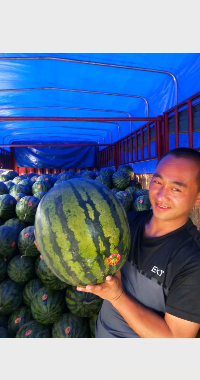 金城武大量有货陕西产区直发质量求生存