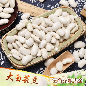 大白芸豆食品加工白芸豆现货袋装50斤