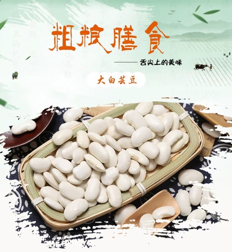 大白芸豆食品加工白芸豆现货袋装50斤