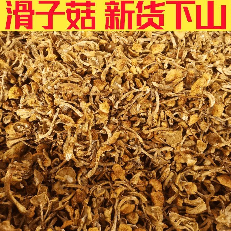新货农家滑子菇干货滑子蘑菇菌菇珍珠菇香菇蘑菇