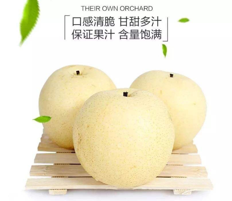 大量供应山东黄金梨，产地直供，可对接电商、超市