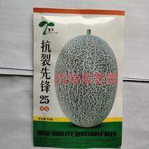 抗裂先锋25晓蜜哈蜜瓜种子大果产量高商品性高网纹细密全