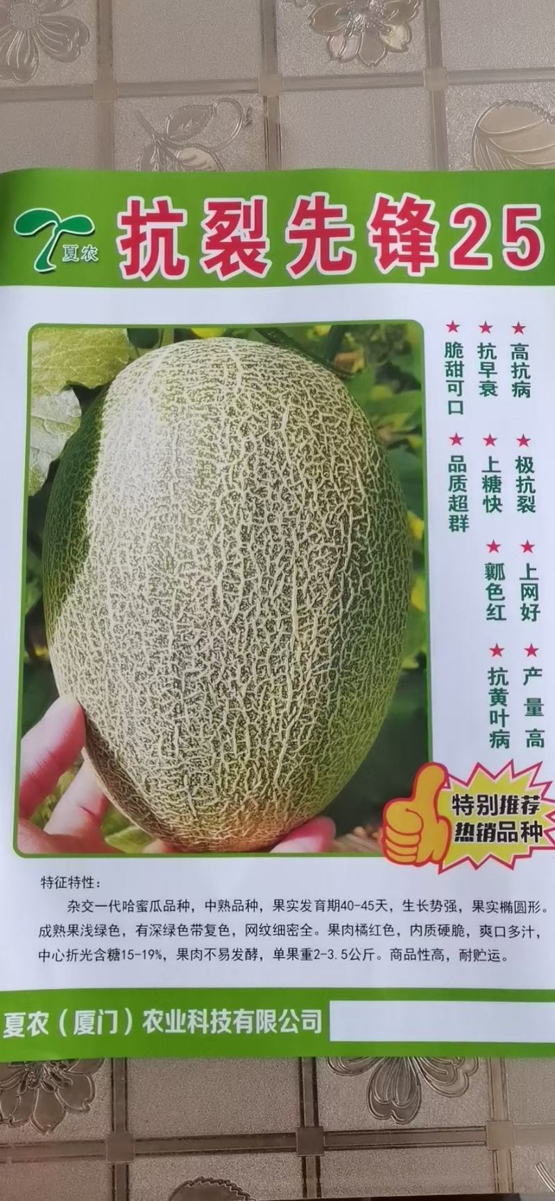抗裂先锋25晓蜜哈蜜瓜种子大果产量高商品性高网纹细密全