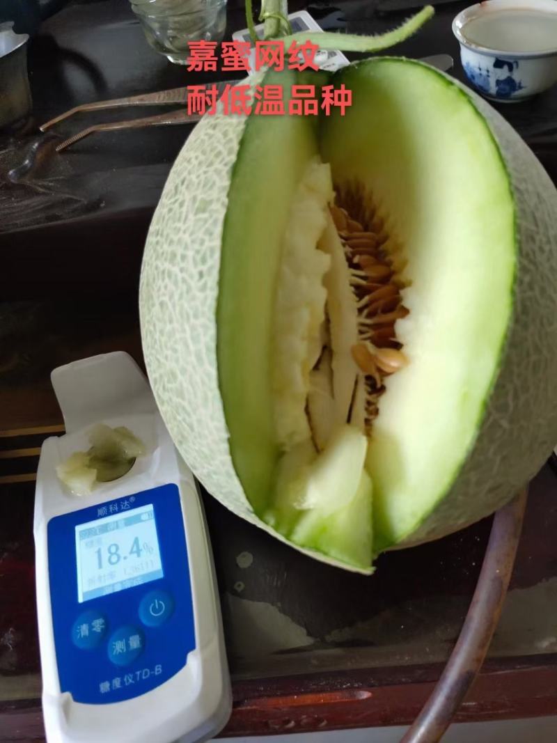 嘉华网纹哈蜜瓜种子抗病抗裂质商品性强囗感好网纹瓜种子