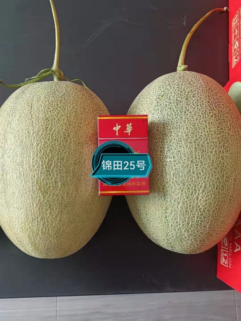 都知蜜2号哈蜜瓜种子抗病抗裂含糖量高大果型易管理囗感松脆