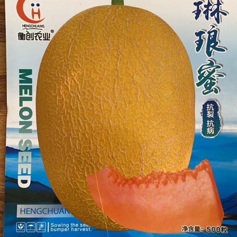 都知蜜2号哈蜜瓜种子抗病抗裂含糖量高大果型易管理囗感松脆