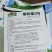 都知蜜2号哈蜜瓜种子抗病抗裂含糖量高大果型易管理囗感松脆