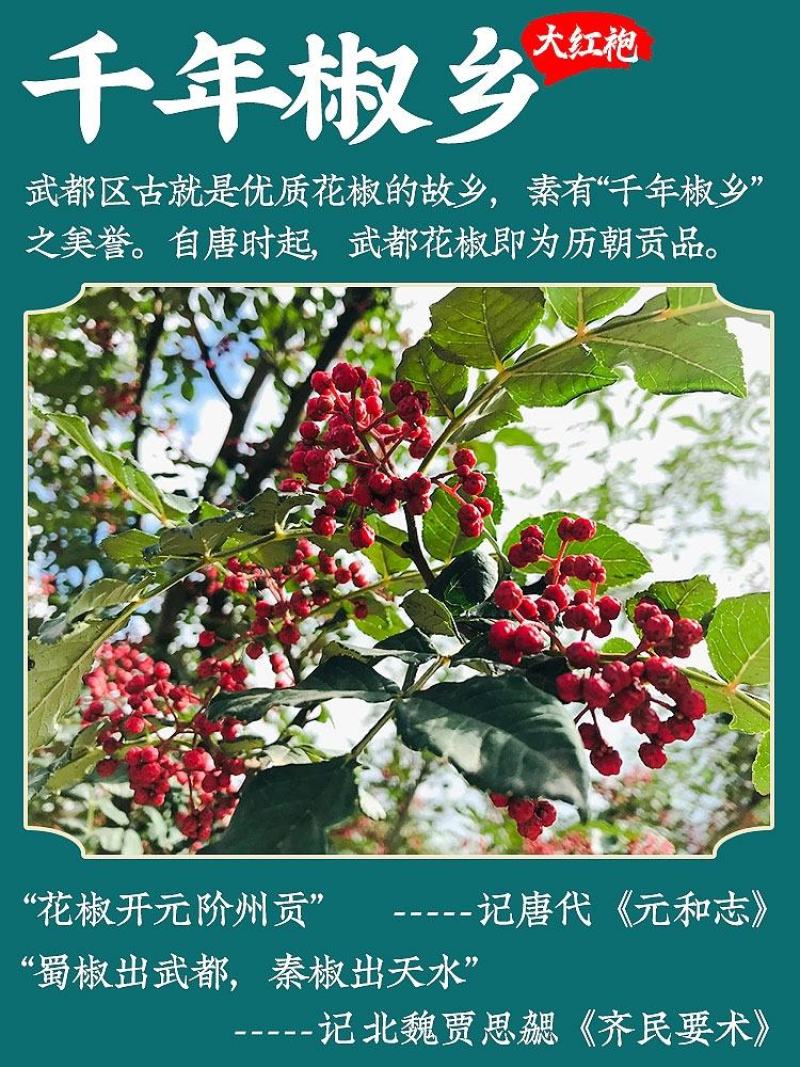 甘肃陇南花椒之乡精品武都大红袍花椒，色泽红润，麻香味醇厚